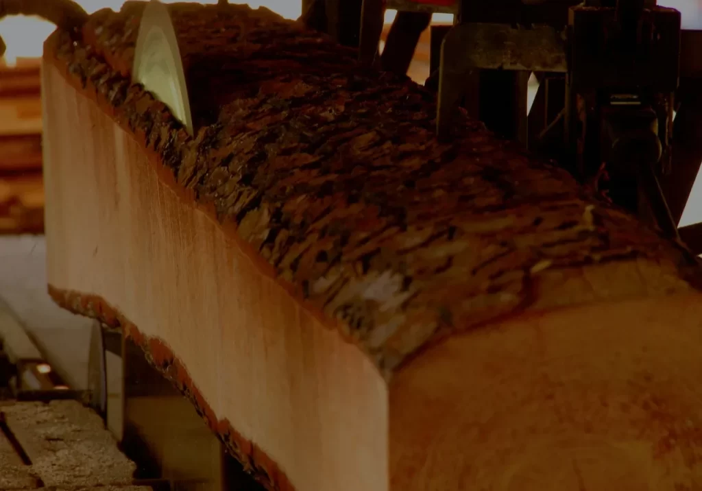 sawmill-cutting-timber