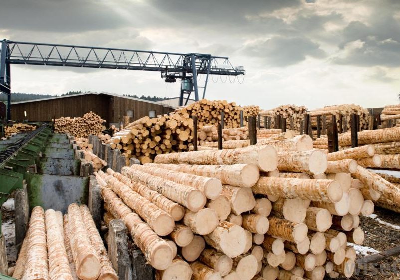 sawmill-lumber-mill_01